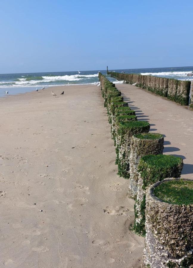 De Notenbalk Aan Zee Panzió Vlissingen Kültér fotó