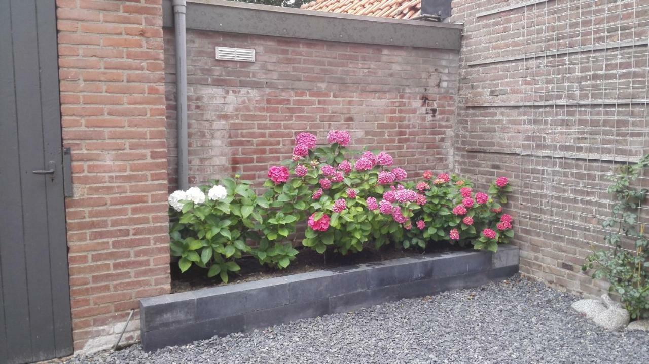 De Notenbalk Aan Zee Panzió Vlissingen Kültér fotó